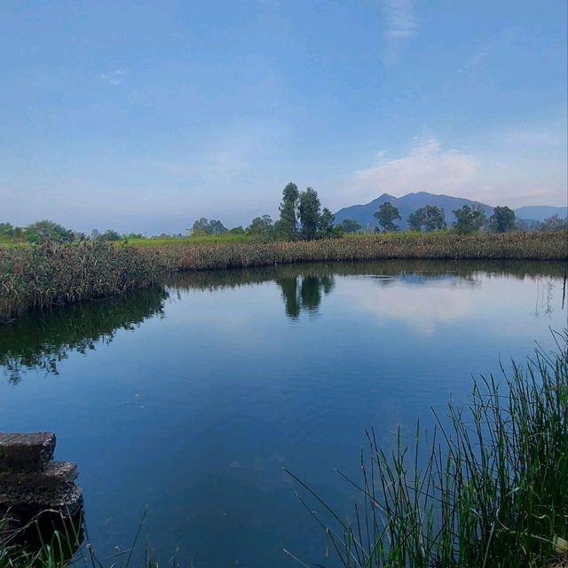 南生圍單車🚲觀鳥🕊️黃昏🏜️之旅