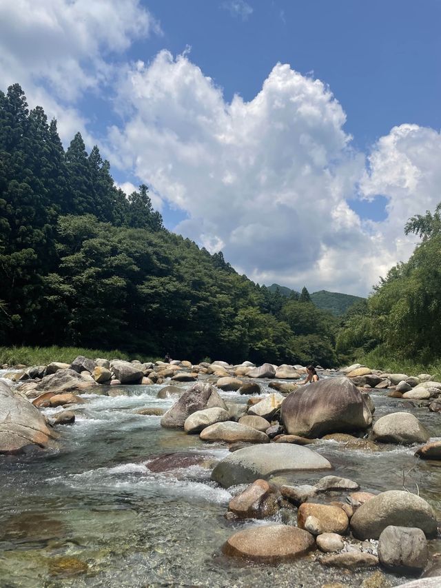 大芦川✨