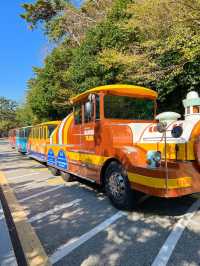 다누비 열차타고 태종대 전망대 감상하기🚂