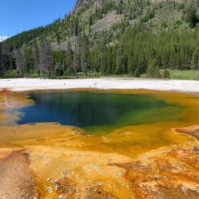 Yellowstone speaks for itself…just listen 💥