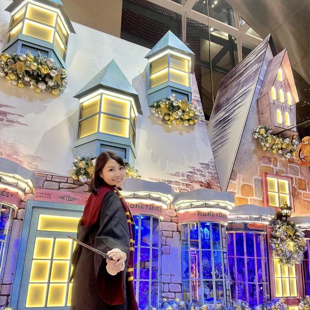 🎄Harry Potter的聖誕魔法世界✨