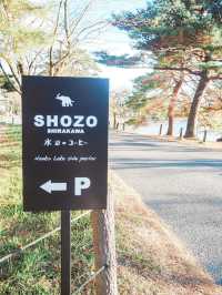SHOZO shirakawa