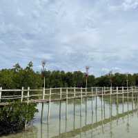 Mangrove Eco Park - Camp Sawi Bantayan