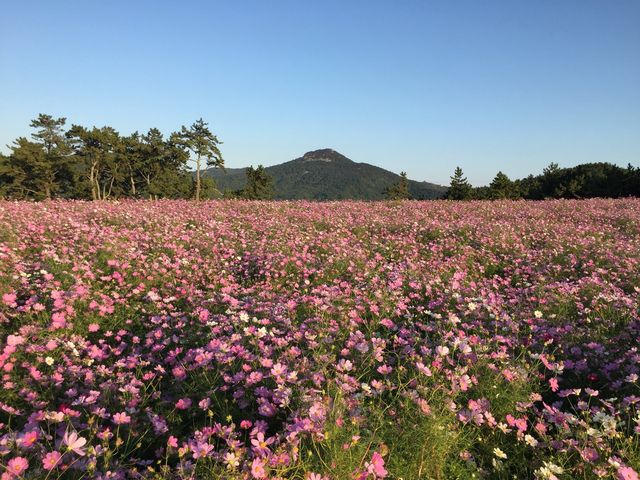 섬이랑 나랑 숙소 추천