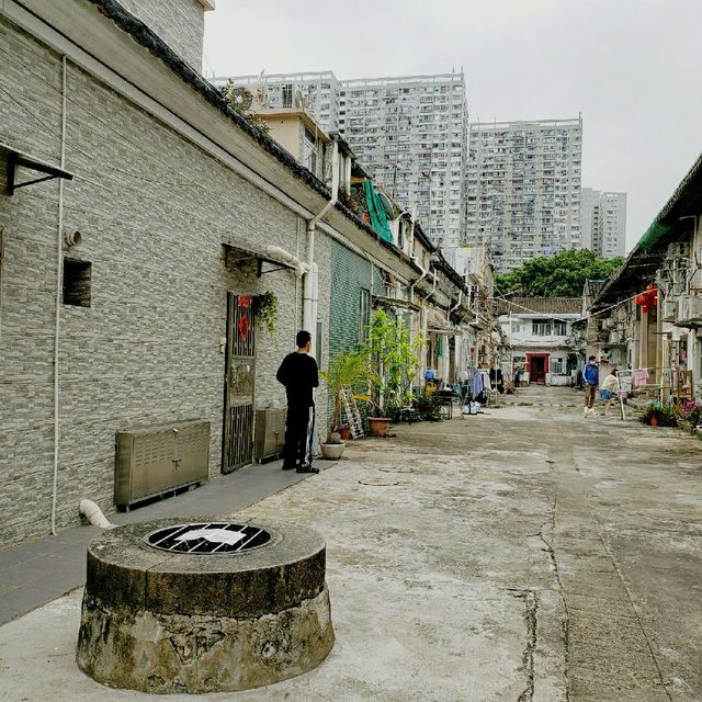 沙田曾大屋文化遊