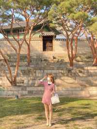 고즈넉한 창덕궁과 어우러진 꽃 🌸