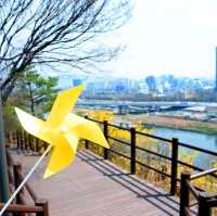 개나리 피어나는 응봉산의 봄🌼