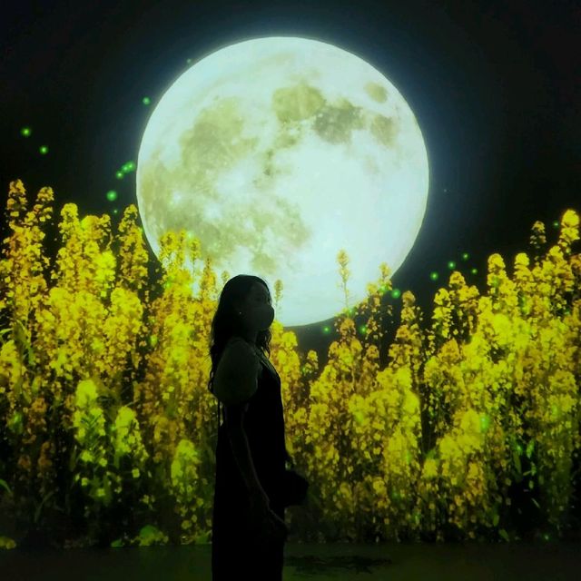 벌써 세번째 방문! "아르떼뮤지엄"