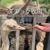 【北海道】スリル満点！？なエサやり体験