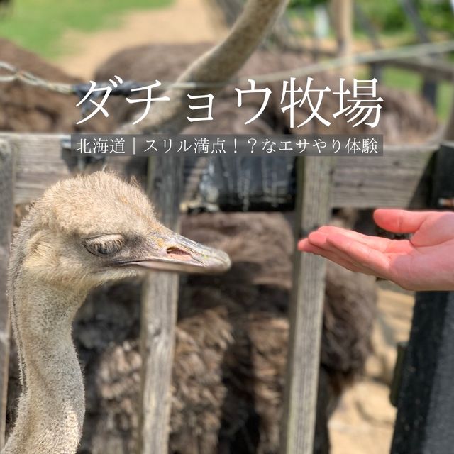 【北海道】スリル満点！？なエサやり体験