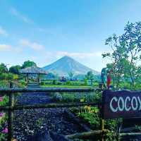 Dine with the gods at Mt. Mayon