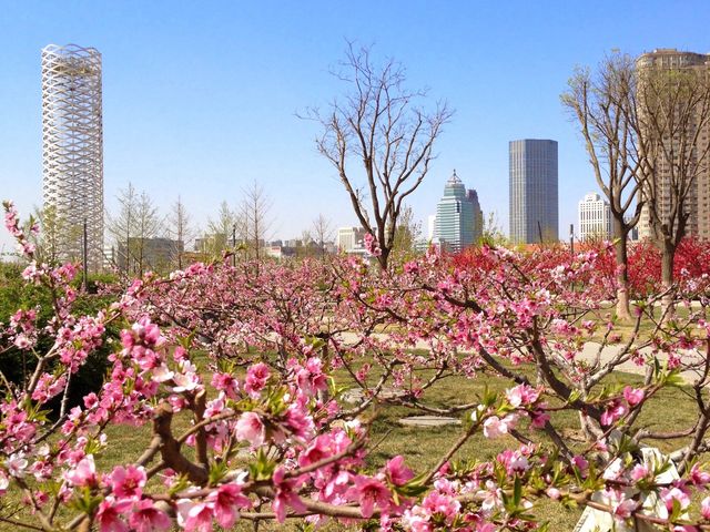 Spring in Tianjin