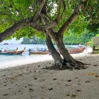 เกาะพีพี (Phi Phi Islands) Krabi Thailand