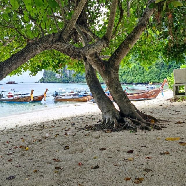 เกาะพีพี (Phi Phi Islands) Krabi Thailand