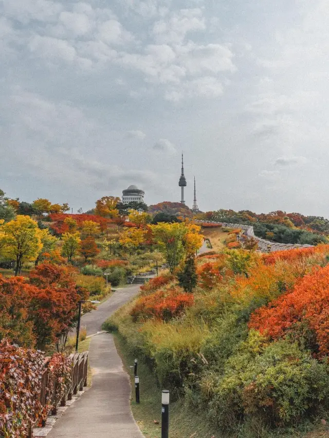 서울에서 가장 이쁘게 단풍을 담을 수 있는 ‘백범광장’