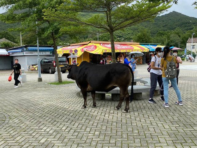 天壇大佛