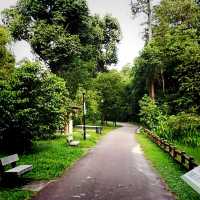 Hiking In Kent Ridge Park On Weekends 