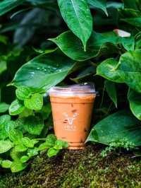 คาเฟ่โอเอซิสกลางเมือง🌿🌳