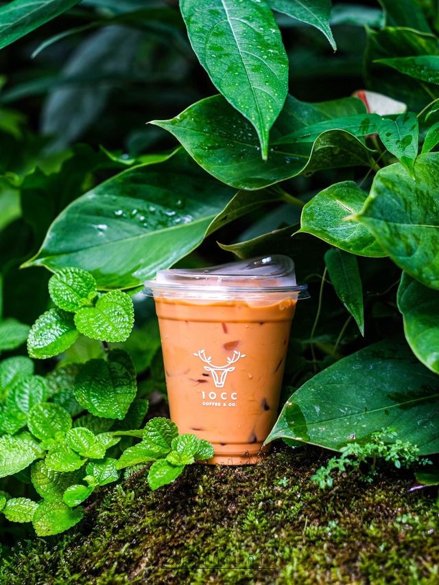 คาเฟ่โอเอซิสกลางเมือง🌿🌳