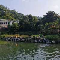 falling for this Seac Pai Van Panda Park