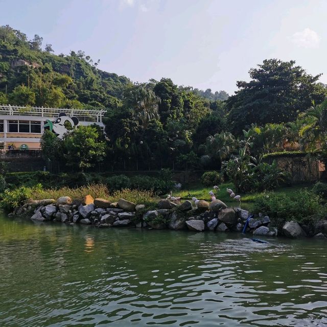 falling for this Seac Pai Van Panda Park