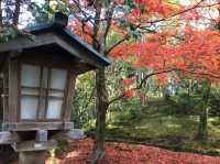 KENROKUEN GARDEN at Kanazawa 