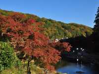 香嵐溪紅葉｜名古屋附近賞楓景點