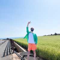 제주도 포토스팟! 코스 짜는법