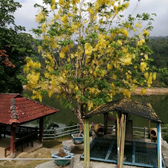 Air Itam Dam, Penang