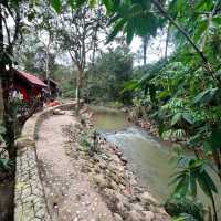Dusun Riffa di Kedah