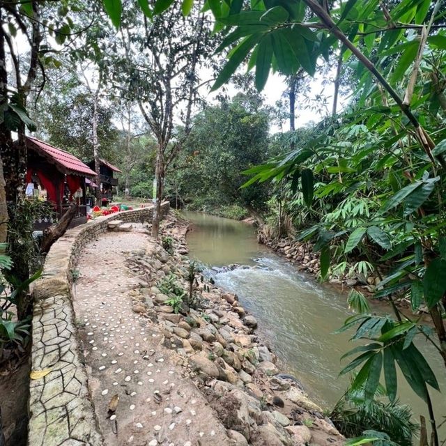 Dusun Riffa di Kedah