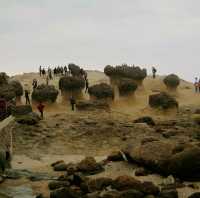 natural art in Yehliu Park