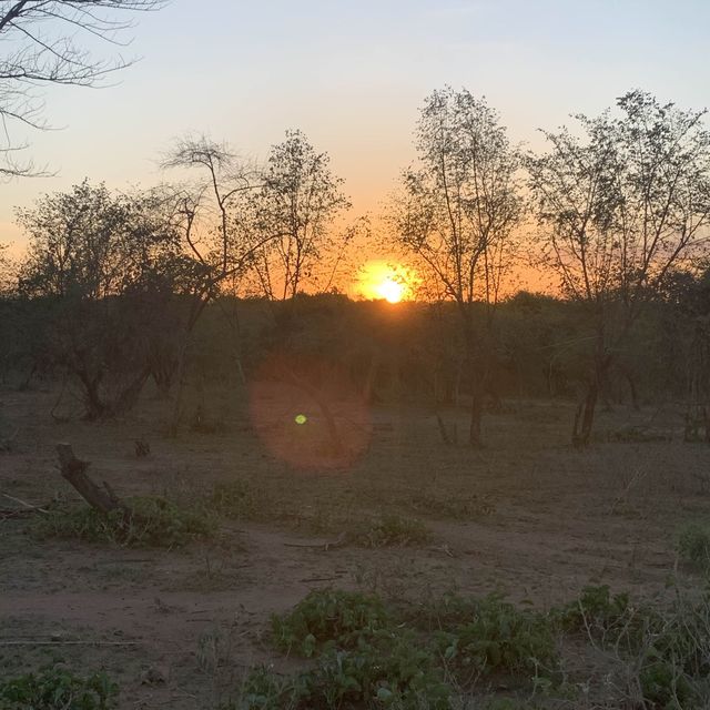 Tribes in the Mango National Park are real. 