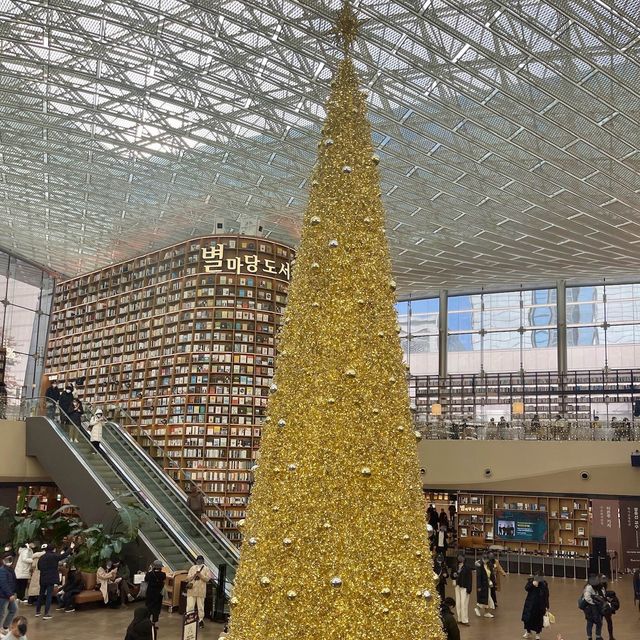 서울 코엑스 별마당 도서관 대형트리 / 라이팅쇼