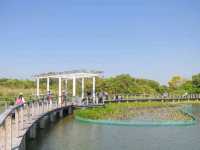 天然濕地公園