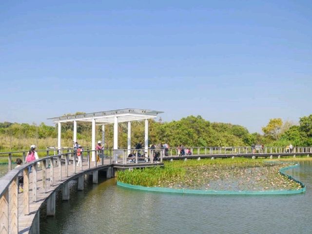 天然濕地公園