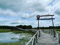 สะพานไม้เคี่ยมแหล่งธรรมชาติใกล้ทะเลชุมพร