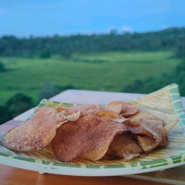 The Beauty of Cadiz City