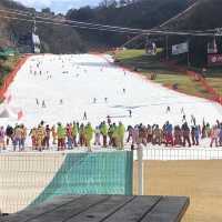 겨울에는 역시 스키장 ⛷🏂