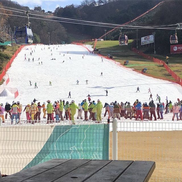 겨울에는 역시 스키장 ⛷🏂