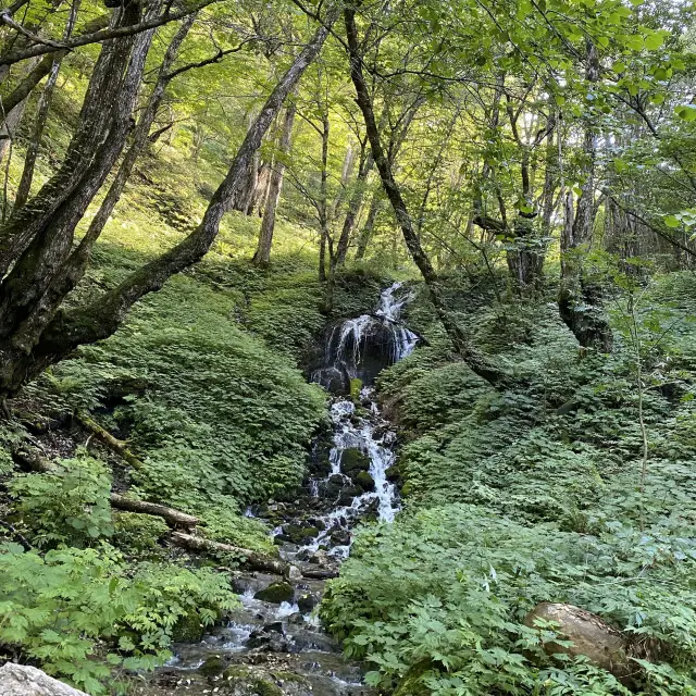 上高地で一息休憩