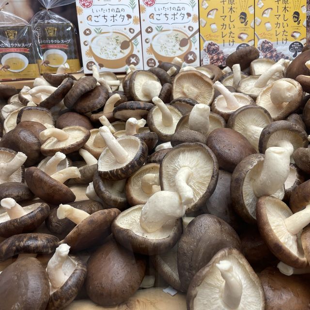 【静岡】伊豆お土産がなんでもそろう「伊豆・村の駅」