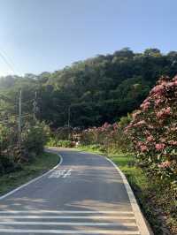 安泰街後山慢跑趣｜漆彈主題樂園上、內溝溪下