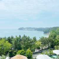 변산 대명리조트 후기 #변산여행 #대명리조트 #채석강 #데이지
