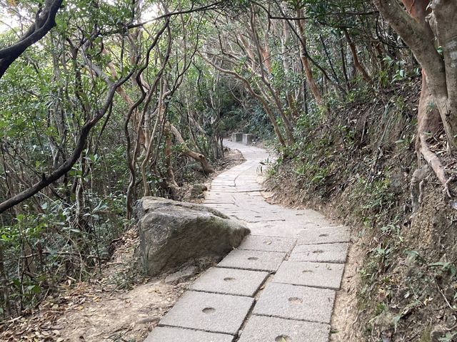 西高山行山｜飽覽維港景。離島景。日落景。山頂夜景｜新手行山最短最輕鬆的行山路線