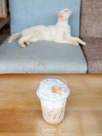 🍃🐶Mori Natural Farm ที่พัก&คาเฟ่บนภูเขาเชียงใหม่