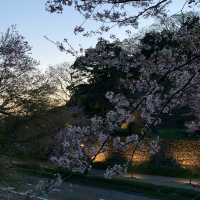 金沢城