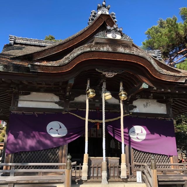 【滋賀県】近江最古の大社でパワーチャージ⛩