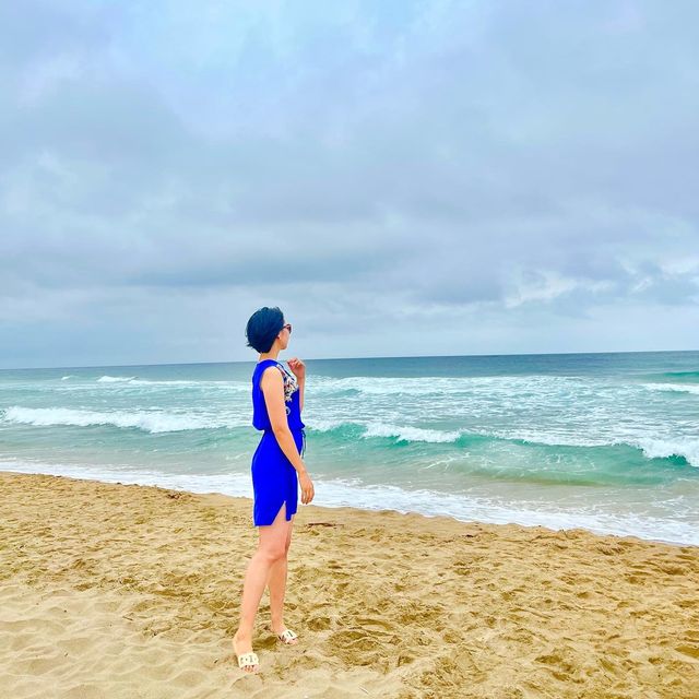 🌊 강원도 양양 서피비치 🌊