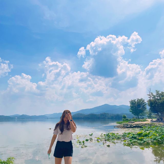 힐링하러 서울근교로 드라이브 가고싶다면?_양평 두물머리
